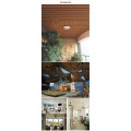 Foshan Rucca WPC Wood PVC Plastic Composite Ceiling Tiles Interior Suspended Decoration Ceiling Panels Design 100*25mm in China